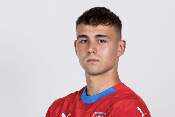 捷克球员在国际赛事中表现神勇 捷克球员在国际赛事中表现神勇