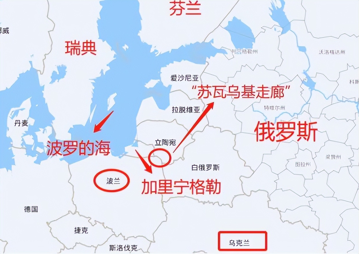 开云官网-波兰胜利,晋级前景一片光明的简单介绍