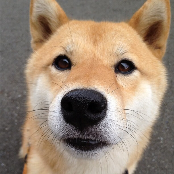 开云体育在线-铁血冰封洛杉矶，当布克用防守改写剧本，凯尔特人拆穿快船幻象