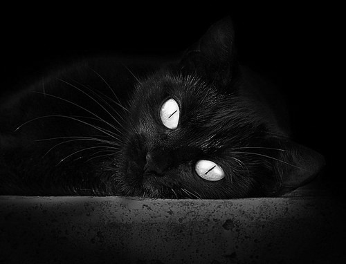 开云体育官网-纪录之夜！拉梅洛单场双响+助攻，打破尘封23年意甲传奇