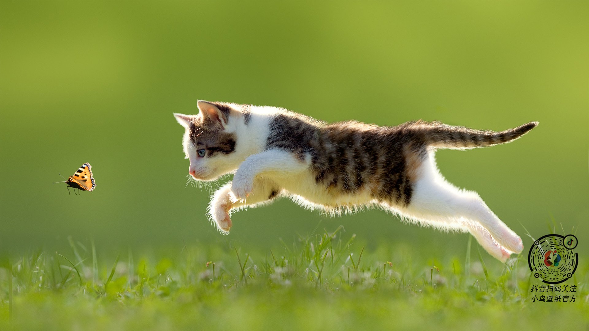 铁壁与刀锋,当个人英雄主义遇上团队逆袭的唯一性