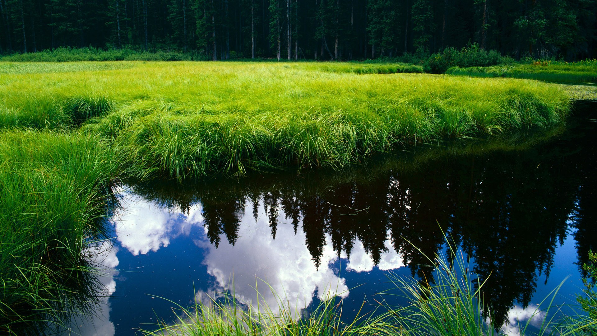 开云sport-篮坛铁骑踏碎巫师 锡安英超式统治力冠绝争冠战场