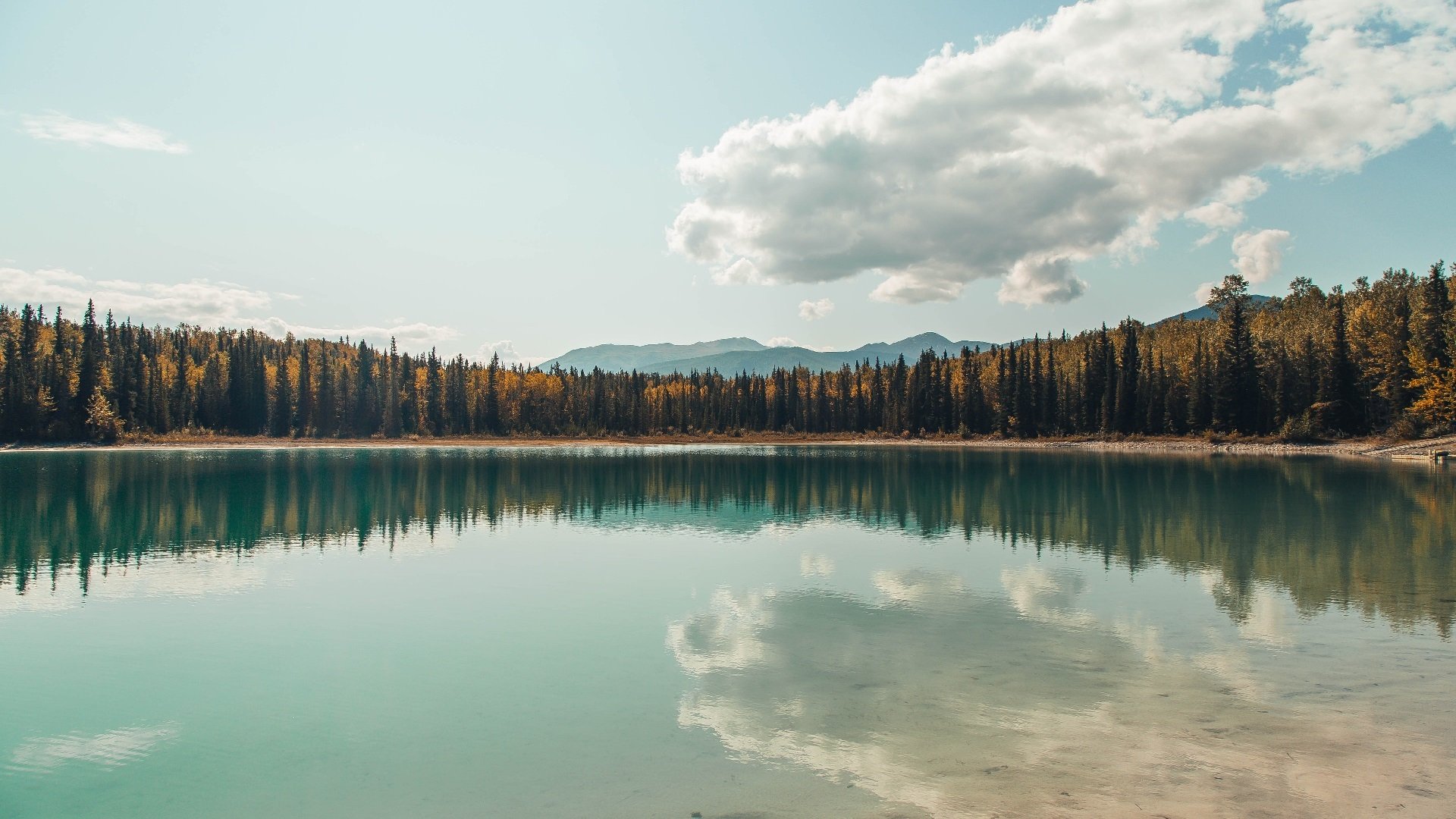 开云下载-刹车决定胜负,从F1揭幕战的极限制动到伊朗队锁定胜局的战术暂停