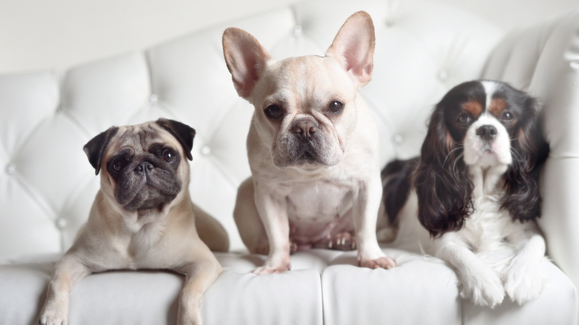 开云体育中国-利拉德太阳升起，虚构之战与真实英雄