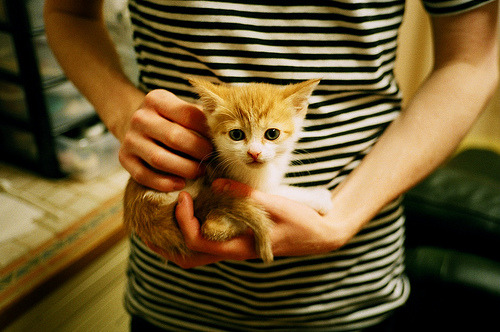 开云下载-钢铁与丝绸，罗德里一箭定江山的史诗之夜