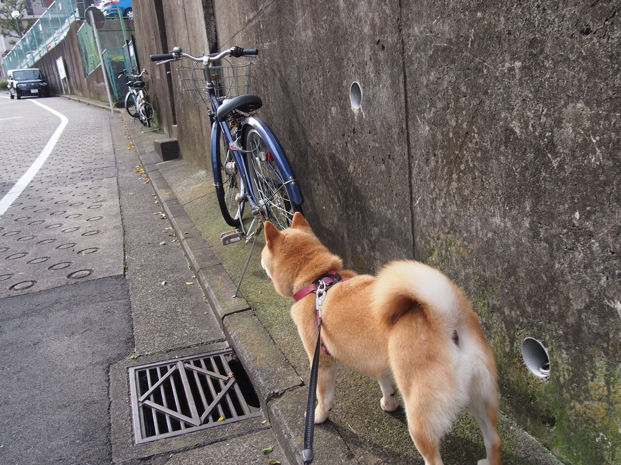 开云平台-宣判之夜，班凯罗45分钟让欧冠悬念提前终结
